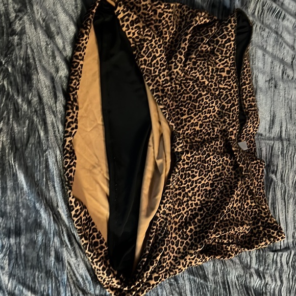 Here, kitty kitty! - Picture 4 of 5